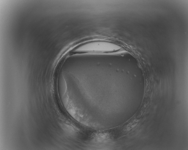 X0000058820247200510071801