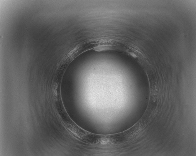 X0000058820264200510071802