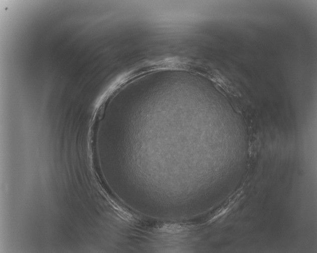X0000058820341200510071800