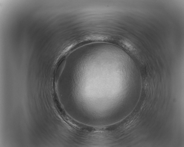 X0000058820352200510071800