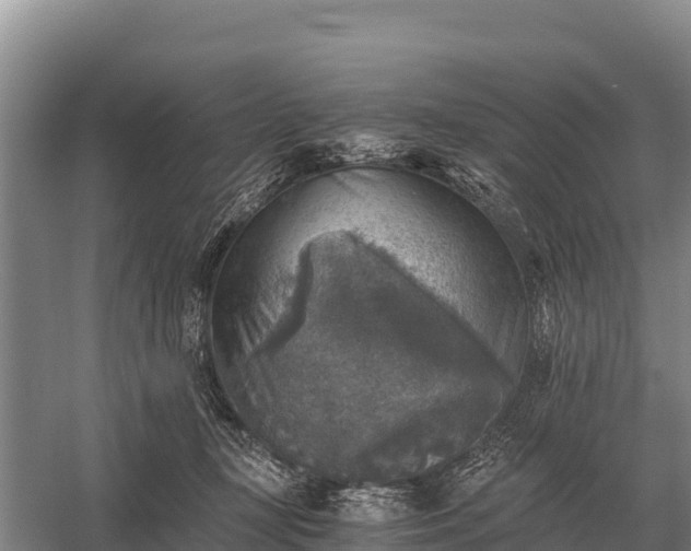 X0000058820367200510071800