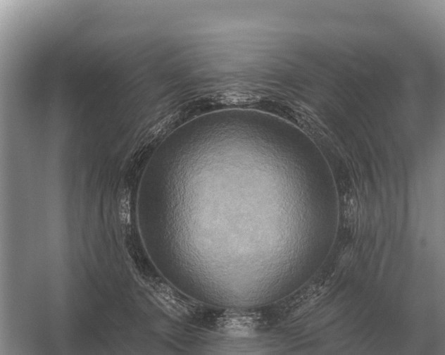 X0000058820368200510071800