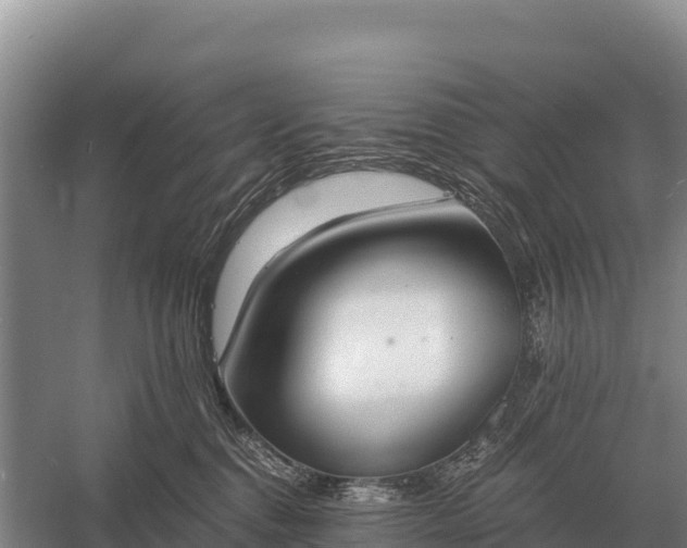 X0000058820376200510071800