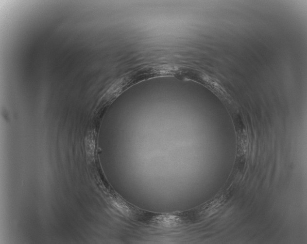 X0000058820427200510071759