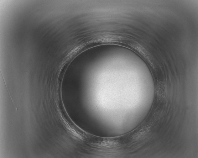 X0000058820445200510071758