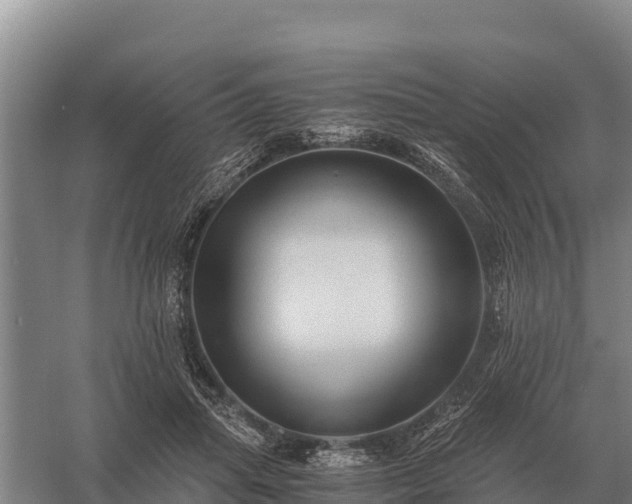 X0000058820455200510071758