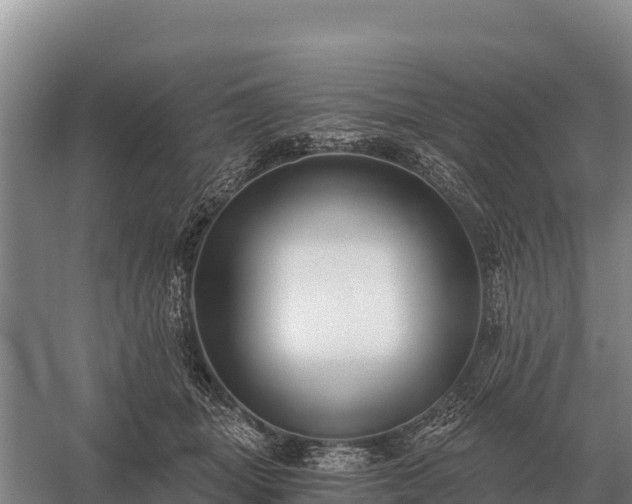 X0000058820463200510071759