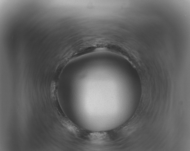 X0000058820480200510071759
