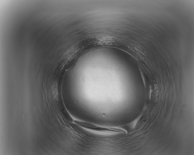 X0000058820508200510071758