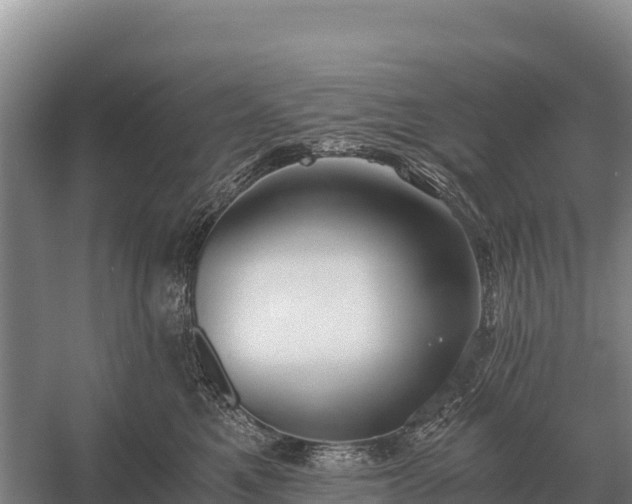 X0000058820521200510071757