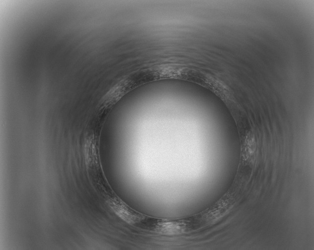 X0000058820522200510071757
