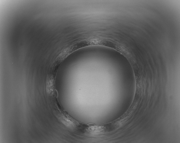 X0000058820526200510071757