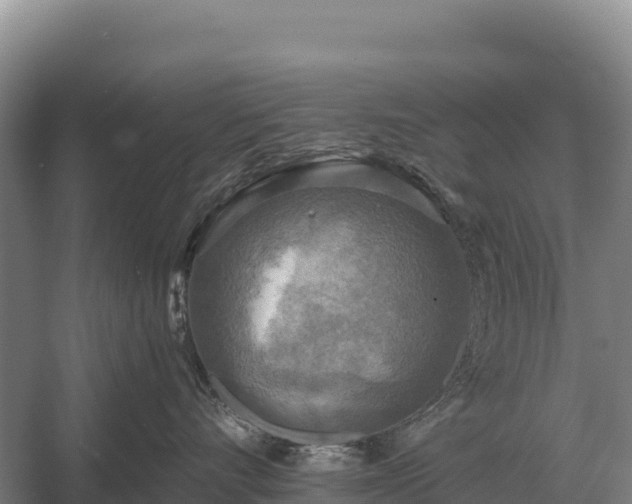 X0000058820528200510071757
