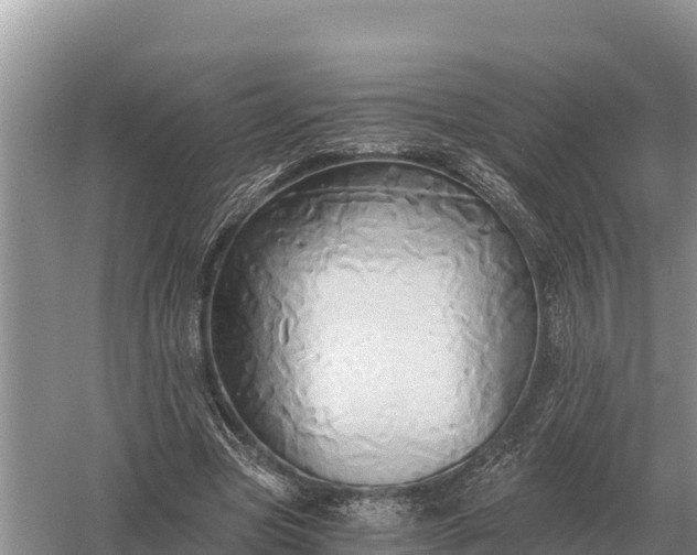 X0000058820537200510071757