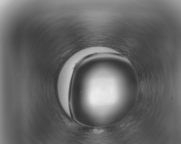 X0000058820570200510071757