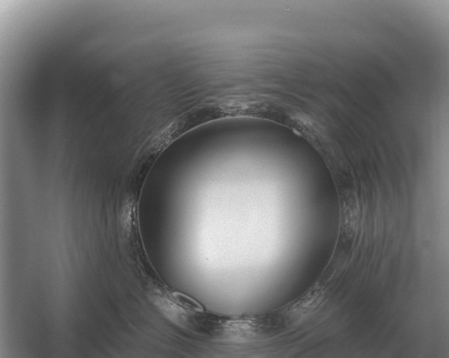 X0000058820574200510071757