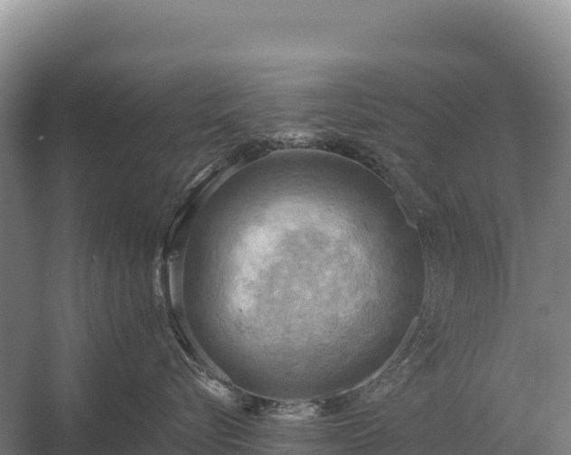 X0000058820576200510071757