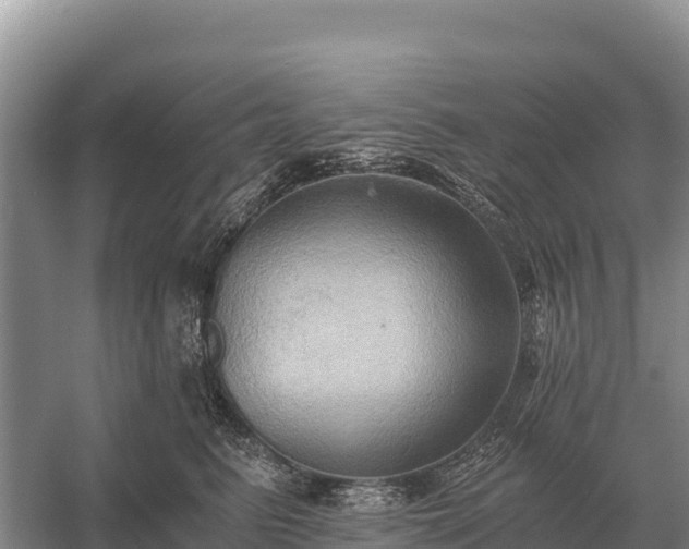 X0000058820615200510071756
