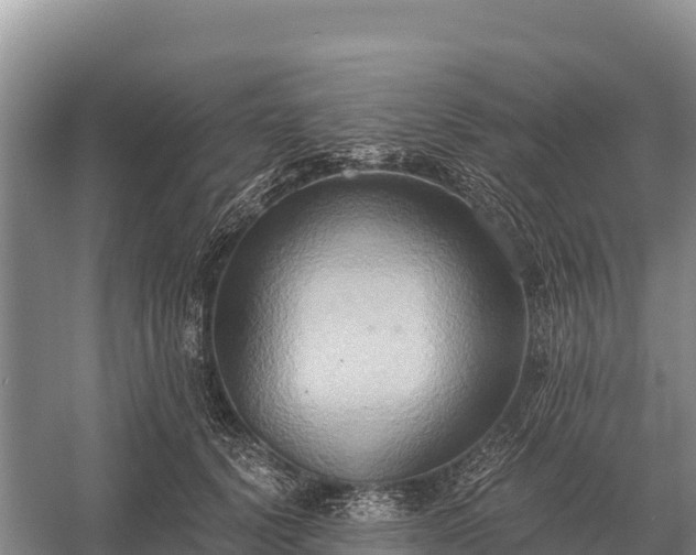 X0000058820656200510071755