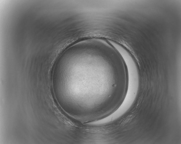 X0000058820673200510071755