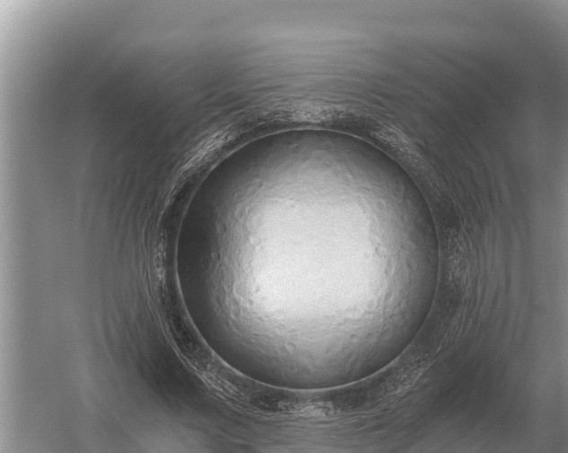 X0000058820683200510071755