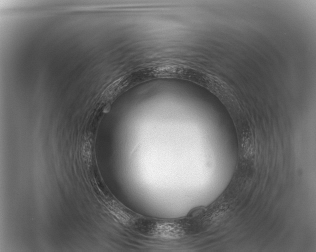 X0000058820753200510071754
