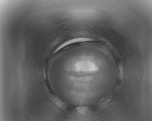 X0000058820762200510071754