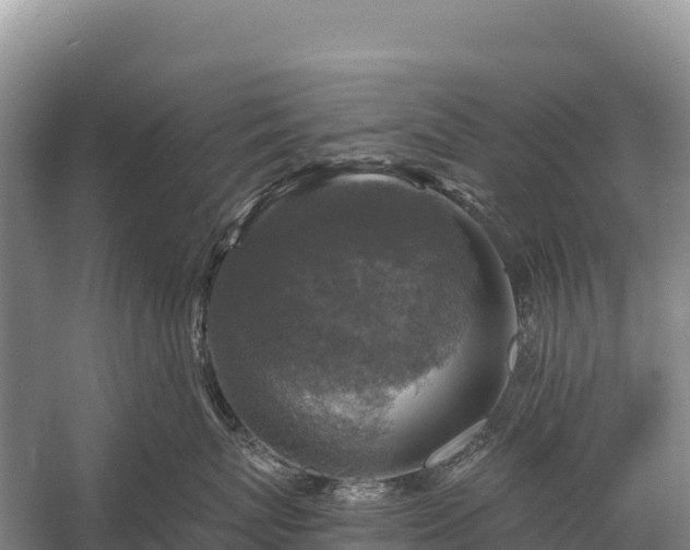 X0000058820767200510071754