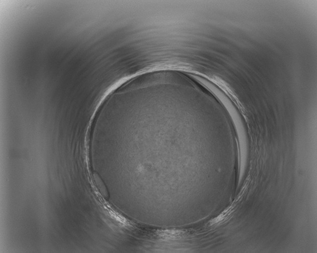 X0000058820854200510071752