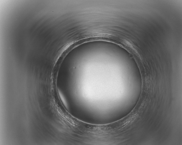 X0000058820875200510071751