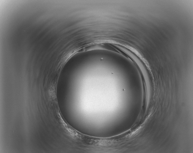 X0000058820905200510071751