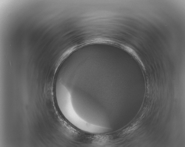 X0000058820954200510071751