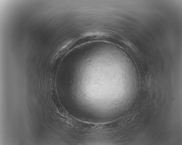 X0000058820967200510071750