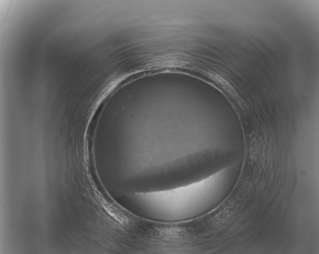 X0000058821031200510071749