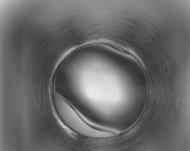 X0000058821054200510071749