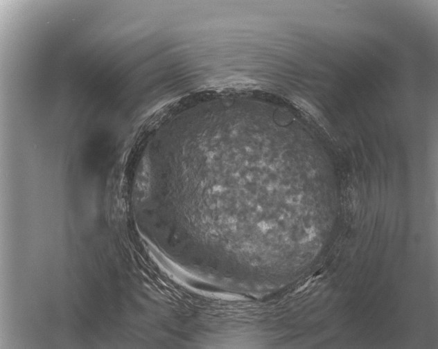 X0000058821063200510071748