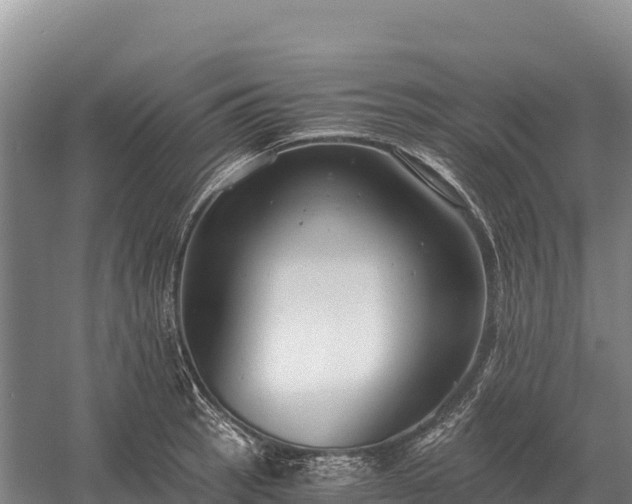 X0000058821137200510071747