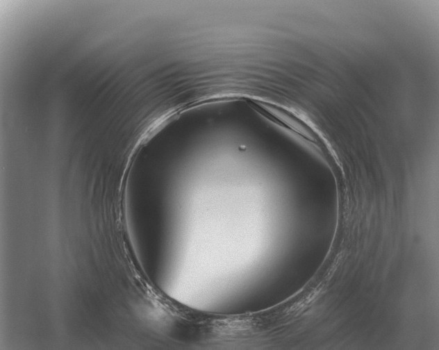 X0000058821145200510071747