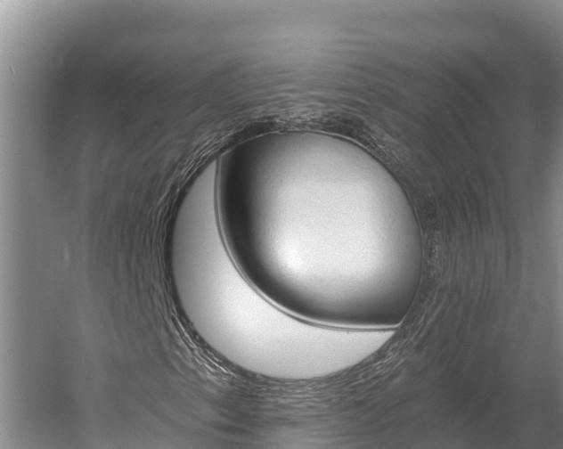 X0000058821153200510071746