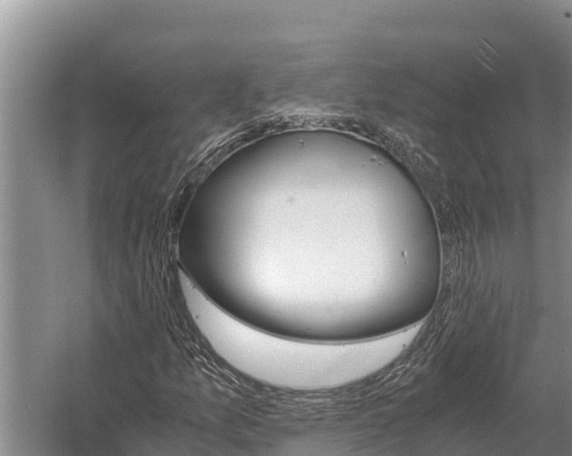 X0000058821157200510071746