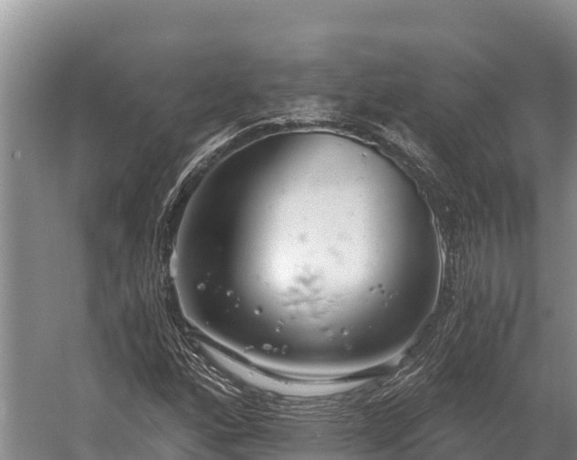 X0000058821160200510071746
