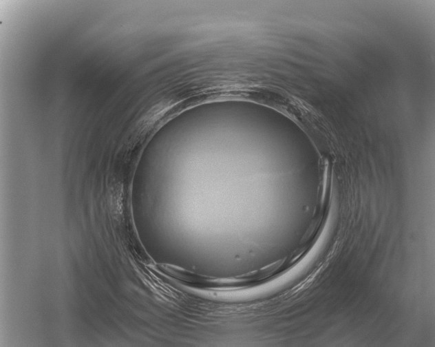 X0000058821161200510071746