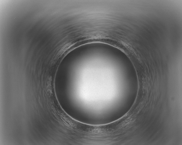 X0000058821265200510071745