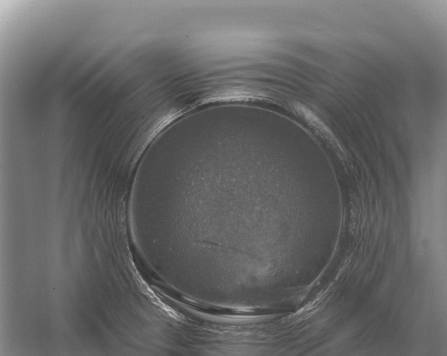 X0000058821329200510071744