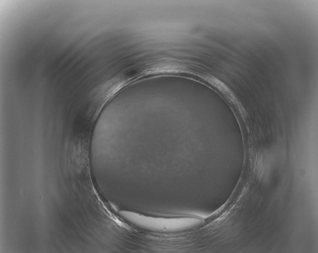 X0000058821337200510071744