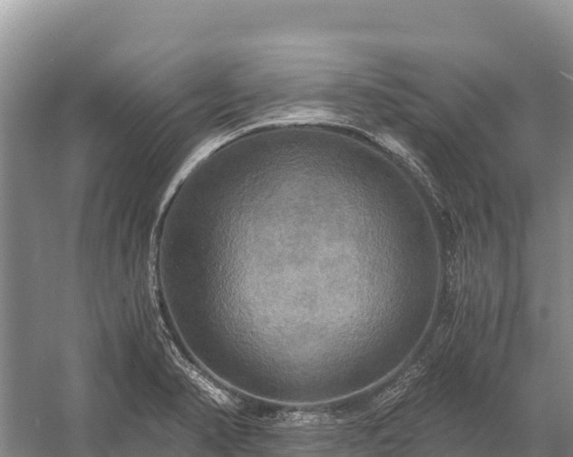 X0000058821374200510071743