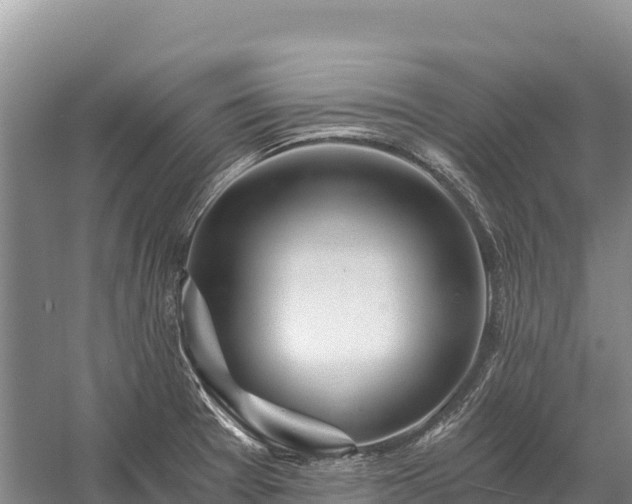 X0000058821377200510071743