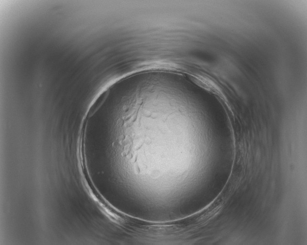 X0000058821391200510071742