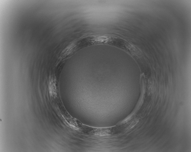 X0000058821394200510071742