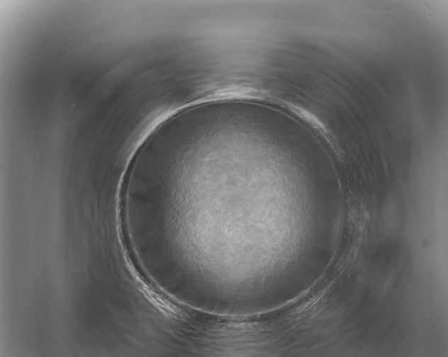 X0000058821423200510071742